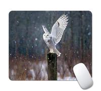 Owl Standing Post Wing Tappetino Mouse Lavabile Tappetini per Il Mouse Soffice Mousepad per Laptop Ufficio Lavoro 25X30Cm