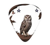 Owl under the Starry Sky - Set di 12 plettri per chitarra, sottili, medi e spessi, adatti per chitarra, basso, chitarra elettrica e ukulele