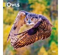 Owls - Eulen 2027 - 16-Monatskalender: Original BrownTrout-Kalender [Mehrsprachig] [Kalender]