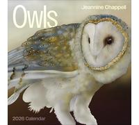 Owls: Jeannine Chappell 2026 Wall Calendar