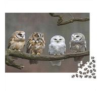 Owls Perched Together 1000 Pezzi Puzzle Adulti Quattro Gufi Appollaiati su un Ramo Spoglio Difficile Premium Robusto Alta Qualità Vivace Stimolante Antistress 52x38cm/1000pz