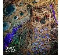OWLS - RARE BIRDS