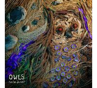 Owls Rare Birds (Vinyl LP) 12" Album