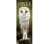 Owls Slim 2025 Slimline Wall Calendar | Bird, Animal Calendar