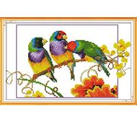 OWN4B - Kit per punto croce, motivo stampato con gatti, 30 x 30 cm, kit per ricamo fai da te (pappagalli)