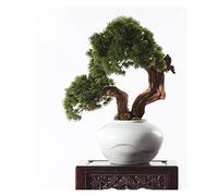 OWOHYG Plantas falsas, árbol bonsái Artificial, decoración de Sala de estar, maceta de cerámica, hojas Verdes de imitación, plantas falsas, adornos para El hogar y la oficina, bonsái Artificial.