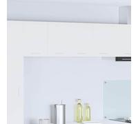 Owoxanthellate Armadio pensile Riga Set di 2 armadi da cucina, in legno, 60 x 31 x 40 cm, design moderno da parete, salvaspazio, per cucina, sala da pranzo, corridoio