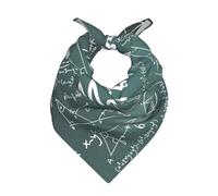 OXbnmm Formulas Shapes Theory Matematica Lezione Parola Stampato Raso Sciarpa per Donne Uomini Sciarpa Quadrata Seta Effetto Seta, Retro Borsa Decorazione Wrap