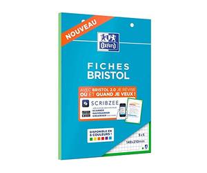 OXFORD Blocco di fogli BRISTOL 2,0 forate, 148 x 210 mm, piccole piastrelle 5 x 5 mm, 30 spine, cornice verde