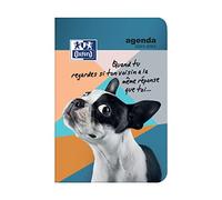 Oxford Funny Pets Agenda Scolastica giornaliera 2017 - 2018 1 giorno per pagina 352 pagine 12 x 18 cm Gattino