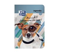 Oxford Funny Pets - Agenda scolastica giornaliera 2019-2020, 1 giorno, 352 pagine, 12 x 18 cm, coniglietto