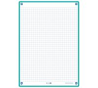 Oxford Révision 2.0 Bristol Cards - Cartoncini formato A5 (14,8 x 21 cm) piccoli quadrati su entrambi i lati, cornice verde menta, confezione da 50