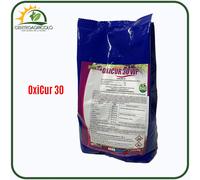 OXICUR 30 RAME WP 30% OSSICLORURO 1KG PER TRATTAMENTI DELLE PIANTE NO-PATENTINO