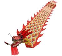 OXOLAMRIN Nastri per Danza della Testa di Drago, Striscione di Seta con Danza del Leone e Drago Cinese Multicolore 10m/12m(D,12 Months)