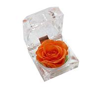 Oxxggkao Festa della mamma Rose Regali Per La Mamma Vera Rosa Per Fiore Immortale Per Sempre Fiori Decorazione Scatola di Cristallo Matrimonio San Valentino Compleanno Creativo