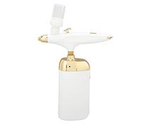 Oxygen Facial B - Dispositivo Nebulizzatore Portatile per Trucco e Cura della Pelle per Donne, Set per la Cura del Viso e Prodotti di Bellezza (Insieme bianco)