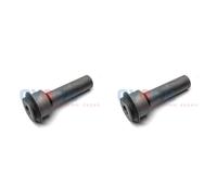 Oyodo 2X Supporto Motore Per Nissan Qashqai +2 I 1.6 2.0 DCI AWD X-TRAIL