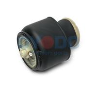 OYODO 40A0001-OYO Molla pneumatica per BMW 5 Touring (F11) 5 GT (F07) Posteriore