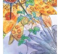 OYUGI WAGAMAMA DAN X PADADEIS X PARADEIS - SOZO ENOGU LIVE BAN(CD+DVD)(ltd.ed.)(TYPE B)