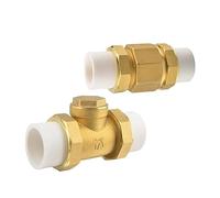 OZDTLP Valvola di ritegno Orizzontale PPR Hot Melt Doppia Unione in Ottone Valvole unidirezionali riflusso for prevenire Il dell'Acqua 1 pz(PPR32,B Type)