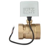 Ozgkee AC220V DN50 2" Valvola a Sfera Motorizzata Elettrica in Ottone a 2 Vie a 3 Fili da Pollici