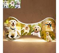 Ozinna Lampada Personalizzata con Foto Cane in Acrilico, Luce Notturna, Decorazione, Regalo Commmemorativo per Amante del Cane (Ossa)