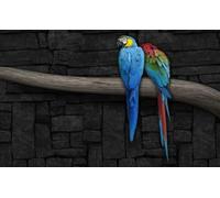 OZLHSP mini puzzle bambini 500 pezzi Pappagalli Animali 52x38cm