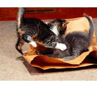 OZLHSP puzzle 3d 500 pezzi Gattini Animali 52x38cm