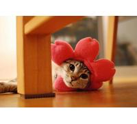 OZLHSP puzzle 500 pezzi arte Animale gatto 52x38cm