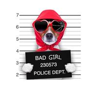 OZLHSP puzzle 500 pezzi mare Animale 52x38cm