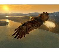 OZLHSP puzzle 500 pezzi mondo Aquile che svolazzano nel cielo 52x38cm