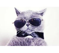 OZLHSP puzzle 500 pezzi napoli Animali felini 52x38cm