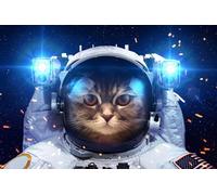 OZLHSP puzzle art 500 pezzi Gatti Cosmonauti Animali 52x38cm