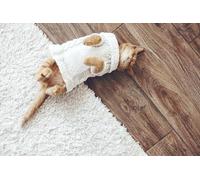 OZLHSP puzzle arte 500 pezzi Maglione con gattini 52x38cm