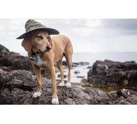 OZLHSP puzzle bambino 500 pezzi Animale 52x38cm