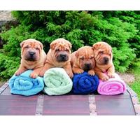 OZLHSP puzzle bimba 500 pezzi Asciugamano Shar Pei Animal 52x38cm