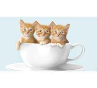 OZLHSP puzzle bimbi 500 pezzi puzzle Gattini Gattini Animali 52x38cm