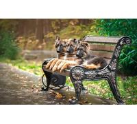 OZLHSP puzzle bimbo 1000 pezzi Cuccioli di pastore tedesco 75x50cm
