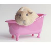 OZLHSP puzzle bimbo 500 pezzi Animale da bagno marino 52x38cm