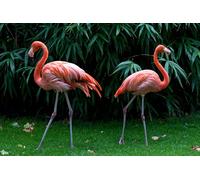 OZLHSP puzzle bimbo 500 pezzi Animale fenicottero 52x38cm