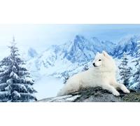 OZLHSP puzzle bimbo 500 pezzi Animali Samoiedo 52x38cm