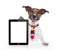 OZLHSP puzzle bimbo 500 pezzi Cravatta per tablet 52x38cm