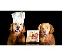 OZLHSP puzzle bimbo 500 pezzi Golden Retriever Animale 52x38cm