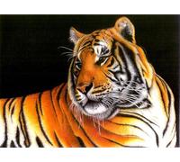 OZLHSP puzzle bimbo 500 pezzi Tigri Grandi Animali 52x38cm