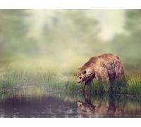 OZLHSP puzzle da 1000 pezzi Orso grizzly 75x50cm