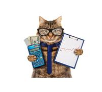 OZLHSP puzzle difficili 500 pezzi Animali felini 52x38cm