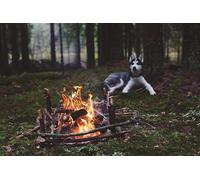 OZLHSP puzzle dinosauri 1500 pezzi Animali di fuoco husky 87x57cm