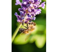 OZLHSP puzzle dinosauri 1500 pezzi Api Insetti Animali 87x57cm