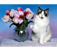 OZLHSP puzzle dinosauri 500 pezzi Animale gatto 52x38cm
