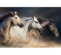 OZLHSP puzzle dinosauri 500 pezzi Cavallo Animale 52x38cm